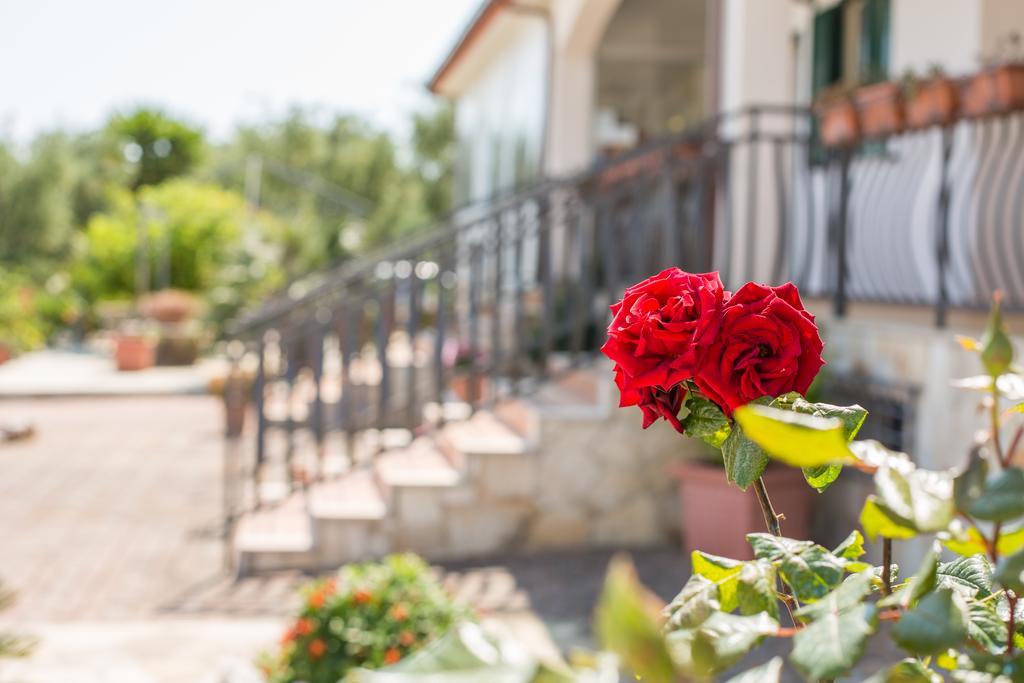Villavesta Bed And Breakfast ヴィエステ エクステリア 写真